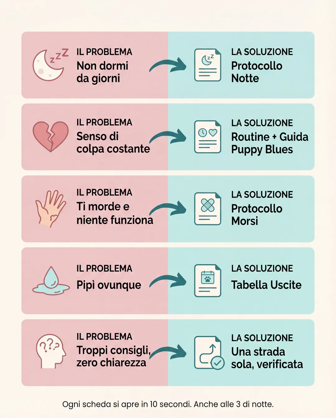 Infografica: 5 problemi comuni del cucciolo (notti, senso di colpa, morsi, pipì, confusione) e le 5 schede della guida che li risolvono