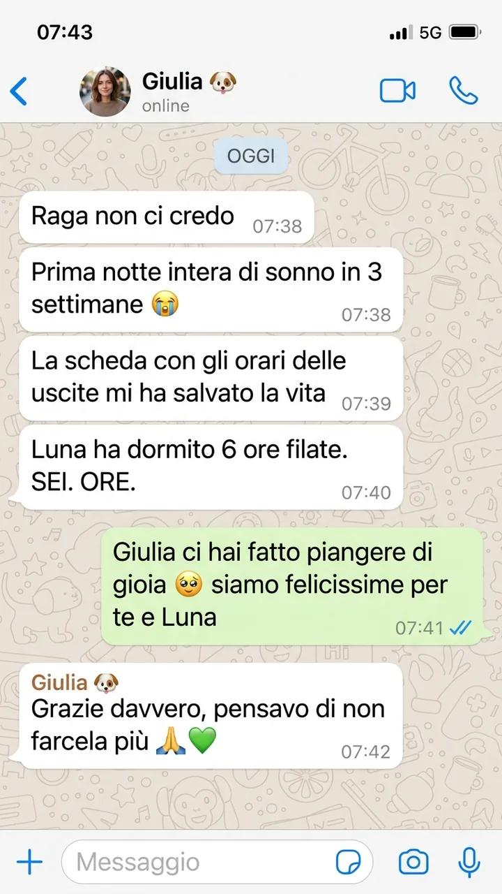 Recensione WhatsApp di Giulia: dopo 3 settimane di notti insonni la sua cucciola Luna ha dormito 6 ore filate grazie alla guida Cucciolo Senza Caos di Felici Insieme