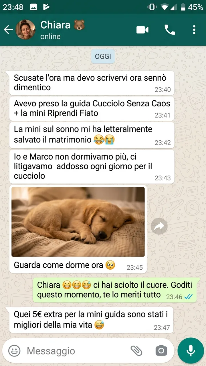 Recensione WhatsApp di Chiara: la mini-guida Riprendi Fiato di Felici Insieme l'ha aiutata a far dormire il cucciolo e a ritrovare la serenità con il partner